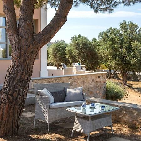 Villa Dellagracia Mansion In Poseidonia Syros Posidhonía Exterior foto