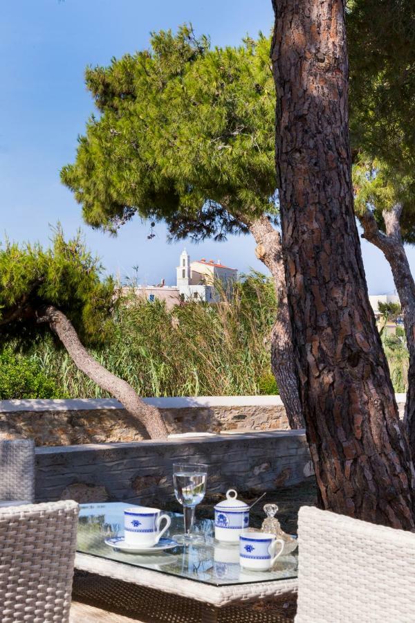 Villa Dellagracia Mansion In Poseidonia Syros Posidhonía Exterior foto